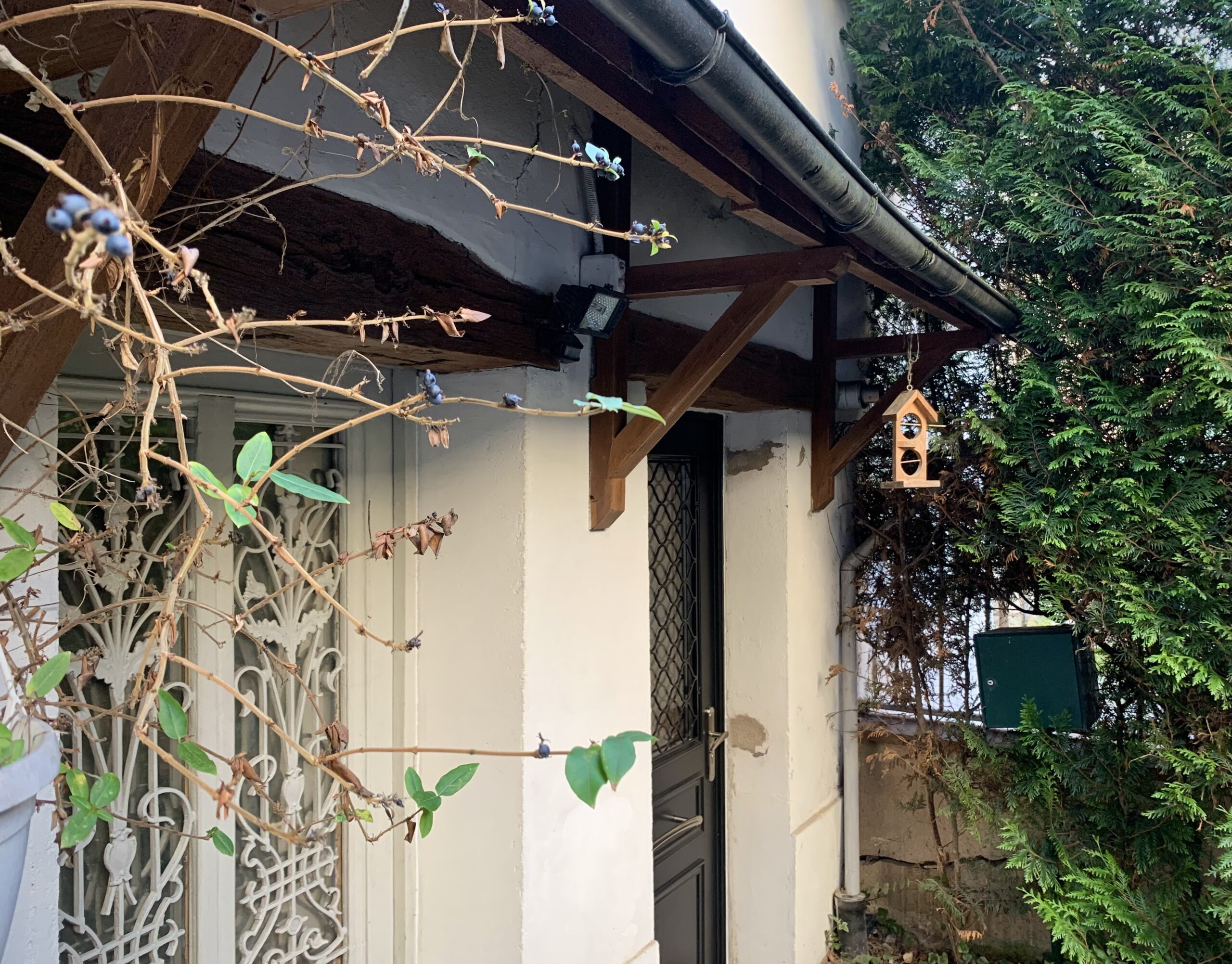 Entrée Yoganima